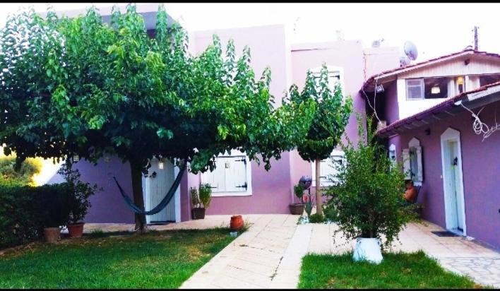 "Villa Kanavos" Apts Matala Dış mekan fotoğraf