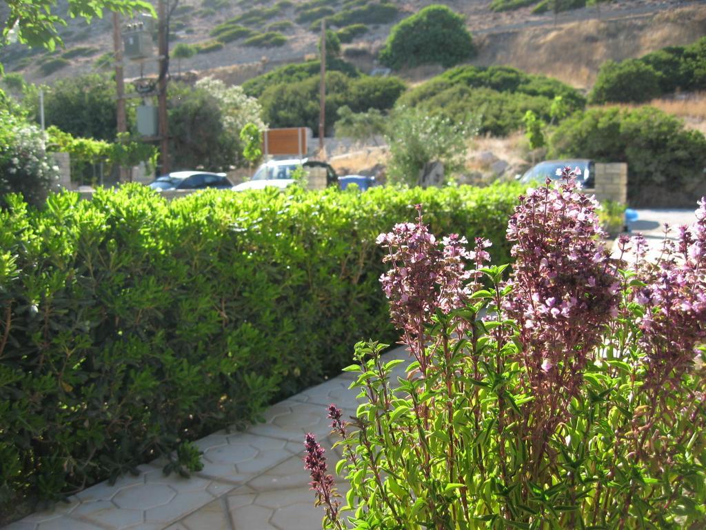 "Villa Kanavos" Apts Matala Oda fotoğraf